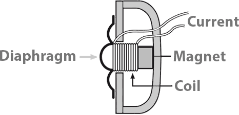 Inner workings of a dynamic microphone